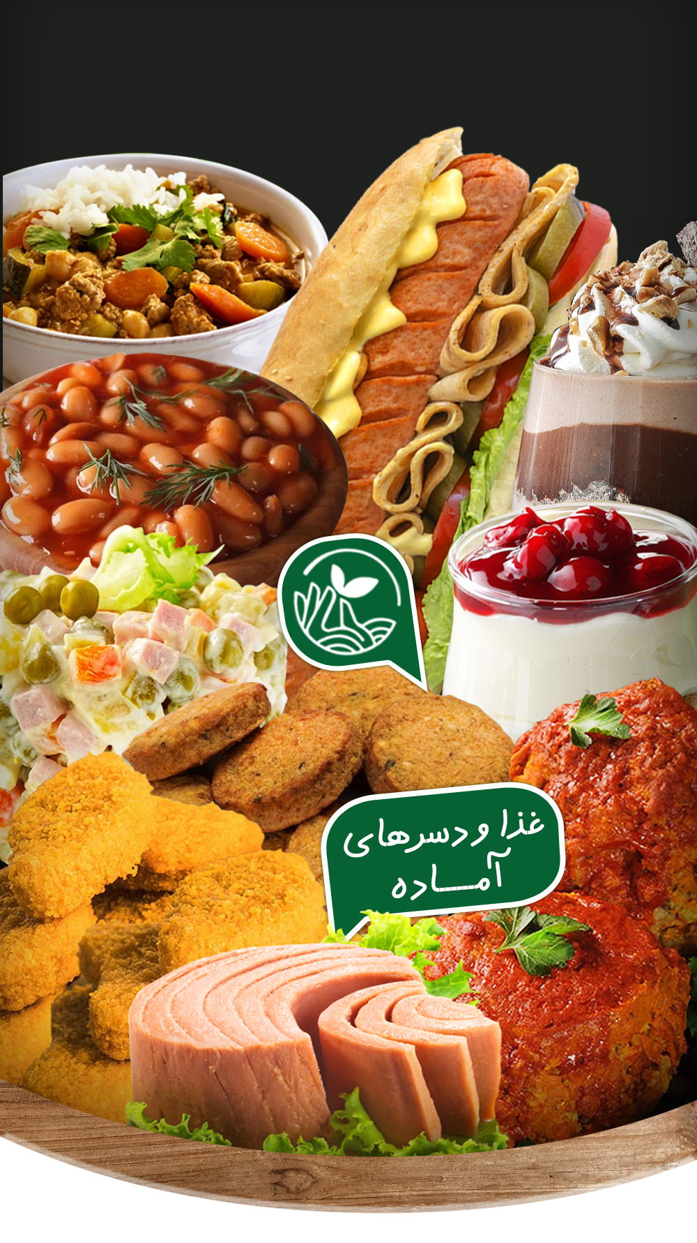 عکس غذای آماده